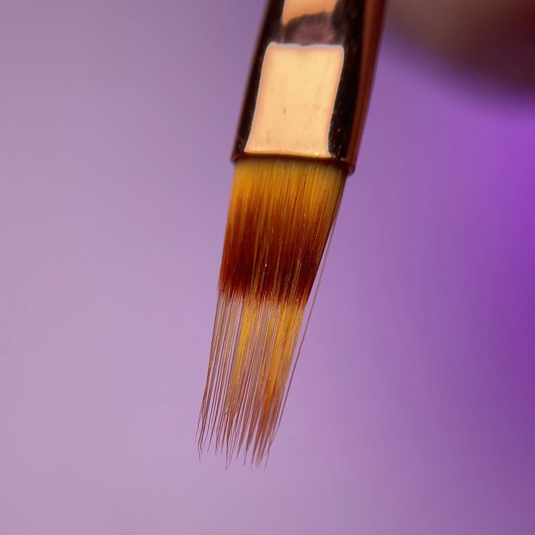 Ombré Brush with Lid | Fuzion Signature Brushes