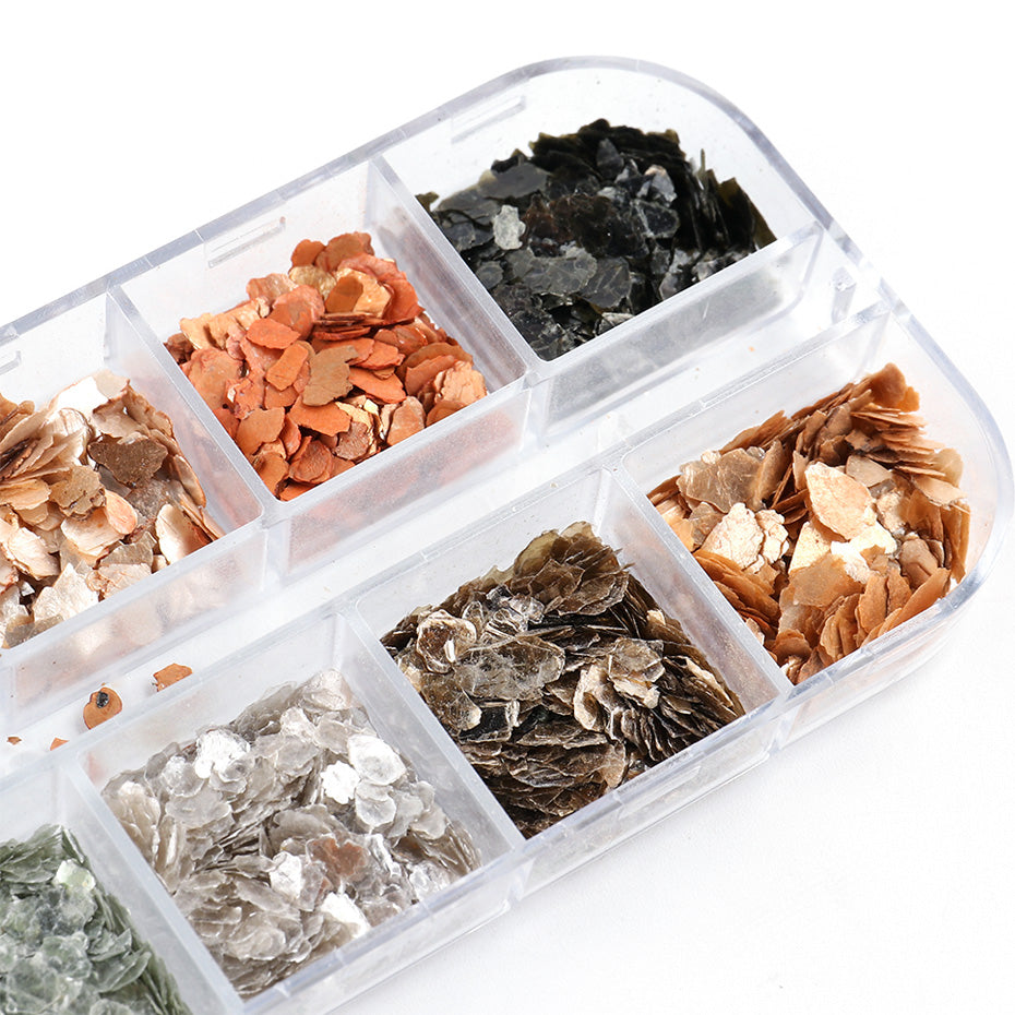 Metallic Shell Pieces ~ Multi Colours | 3D Embellishment