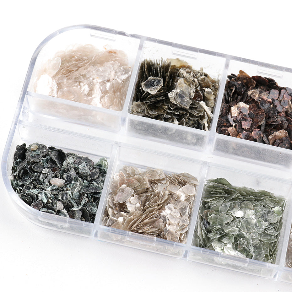 Metallic Shell Pieces ~ Multi Colours | 3D Embellishment