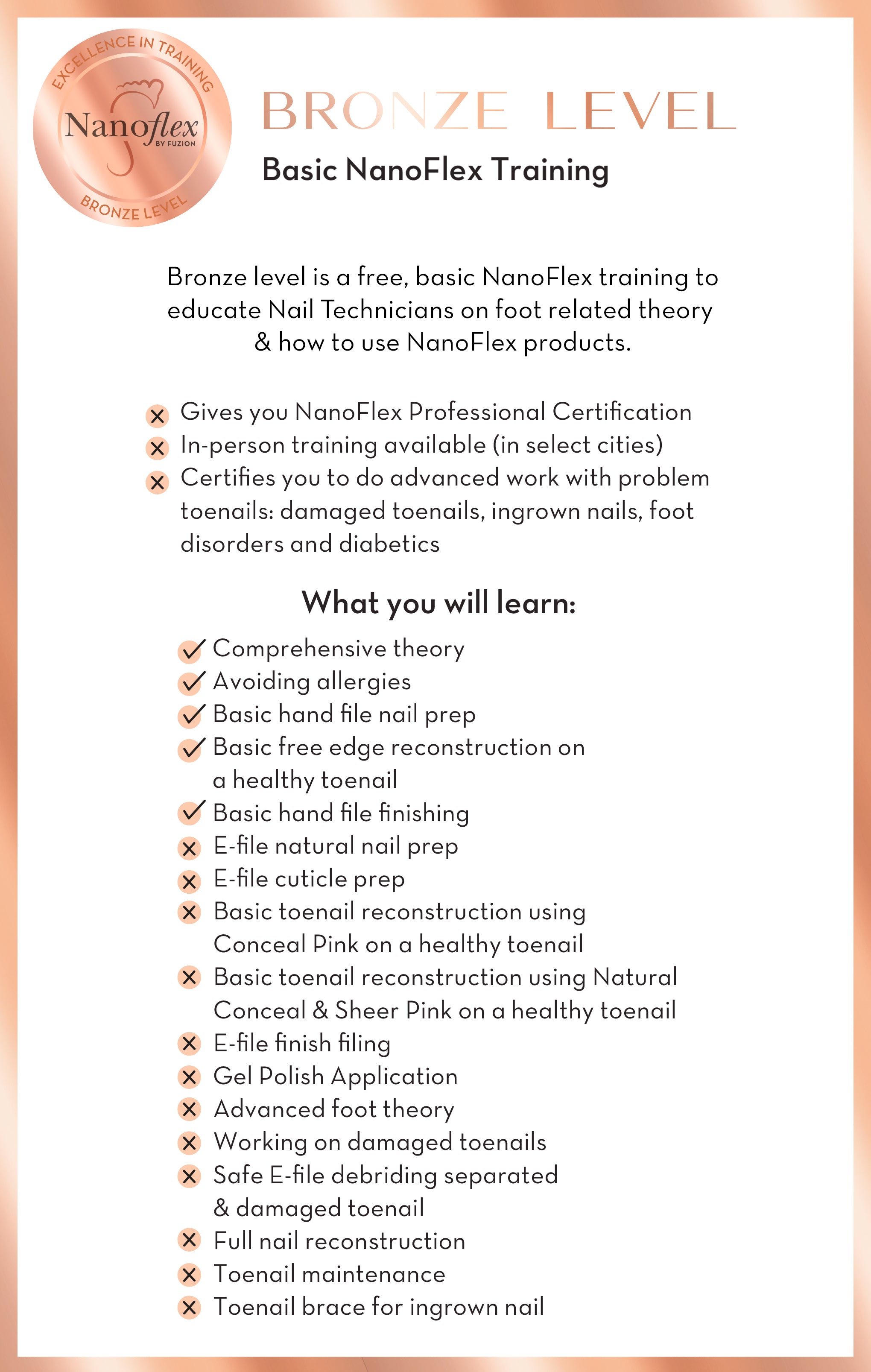 NanoFlex Bronze Level Course - Free Online!